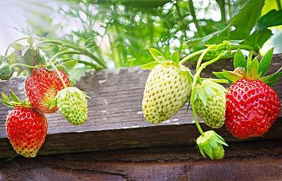 机甲SRPG新作《Relayer》新演示 2022年2月17日发售